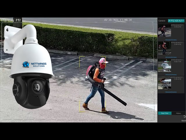 PTZ Camera Surveillance